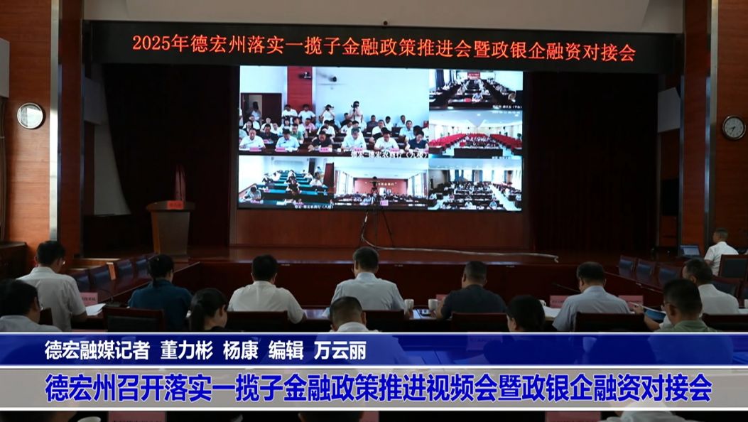 傣语：德宏州召开落实一揽子金融政策推进视频会暨政银企融资对接会