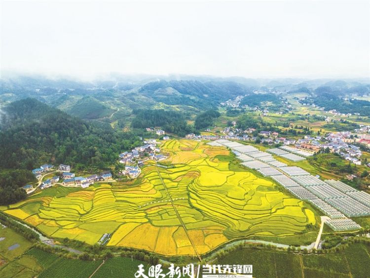 花茂村田园风光美如画。 罗星汉 摄.jpg