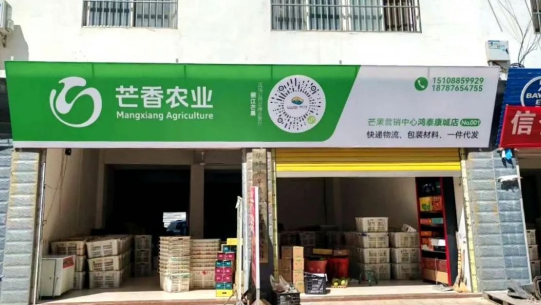 快递降价 包装免费 华坪芒果电商销售成本大降