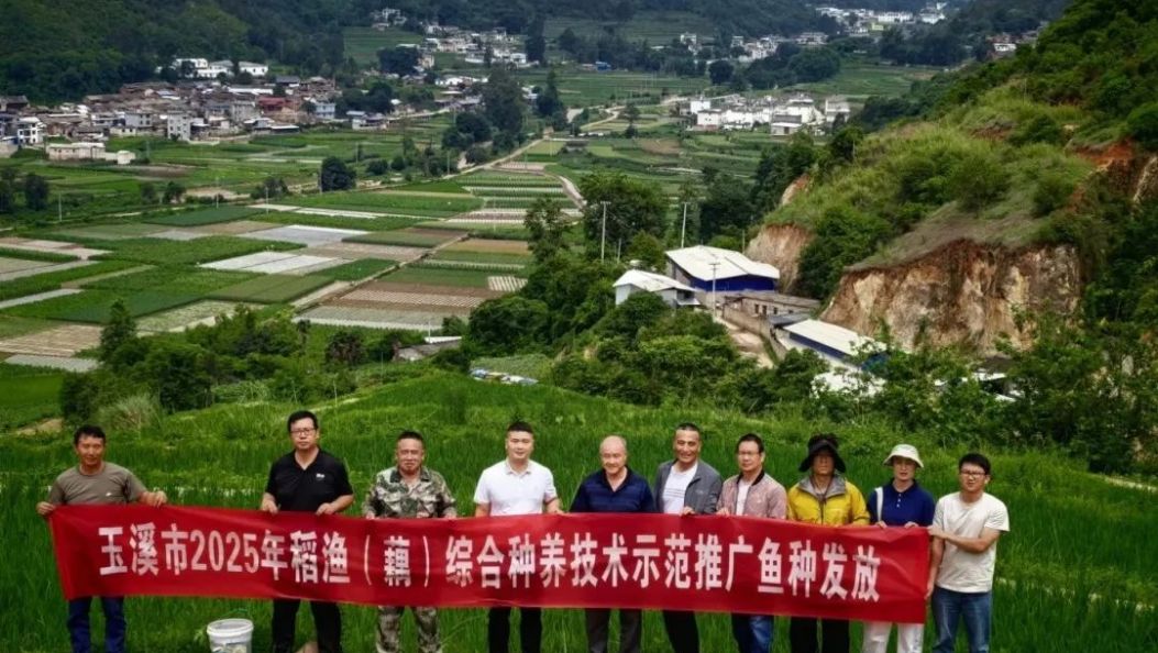 河西镇改水沟村：“稻鱼共生”模式蹚出增收新路径
