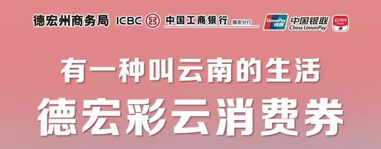 德宏州2025年“有一种叫云南的生活·彩云汽车消费券”发放活动--消费者操作细则