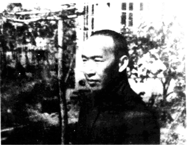 铭记历史 缅怀先烈｜张冲：率部抗日战功显，投身水利惠民生