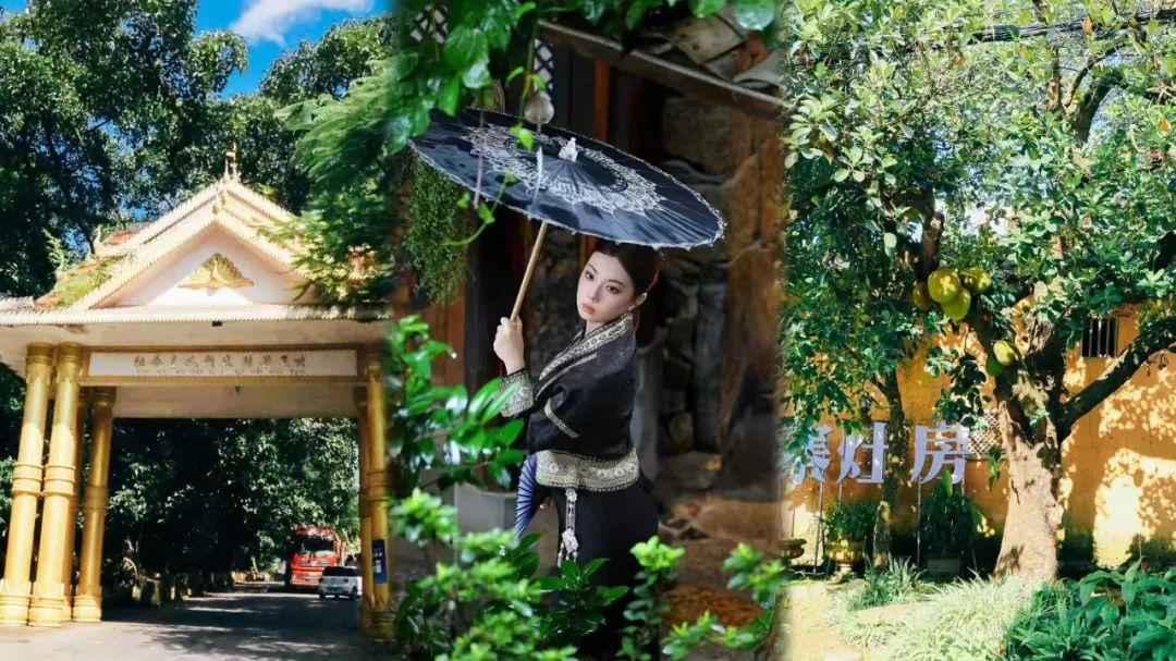 这个傣寨绝了！芒晃村好吃好住又出片
