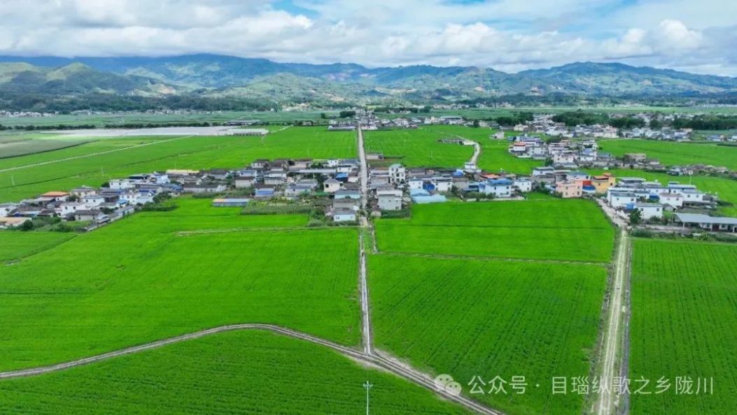 美到失语！德宏的稻田治愈力拉满