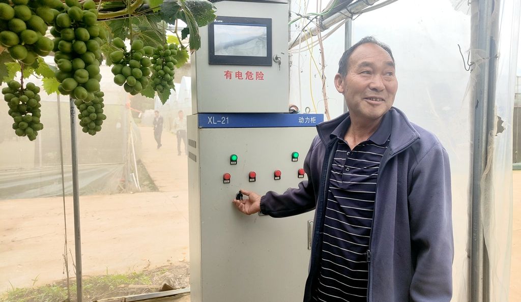 智慧农业添动能 宣威阳光玫瑰“智”富路越走越宽