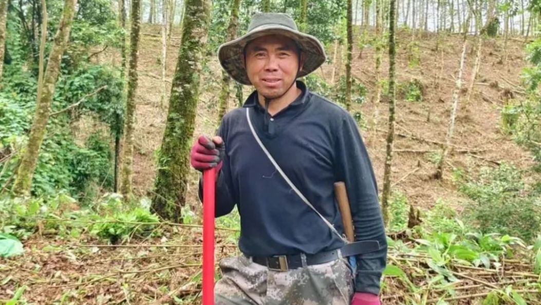 乡村振兴 | 德宏盈江：小草果“链”出大产业，“串”出大团结