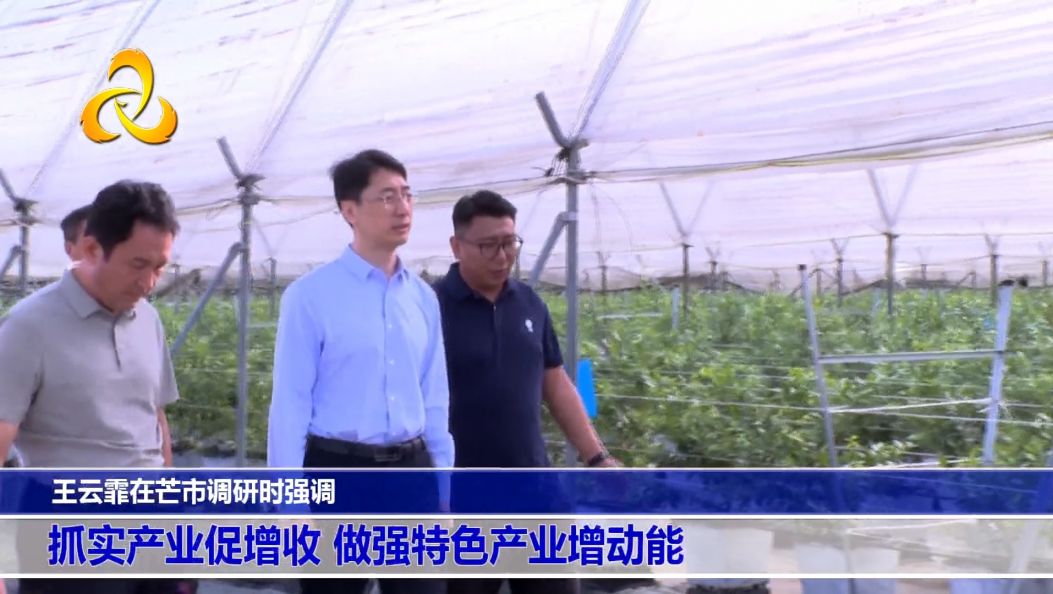 王云霏在芒市调研时强调 抓实产业促增收 做强特色产业增动能