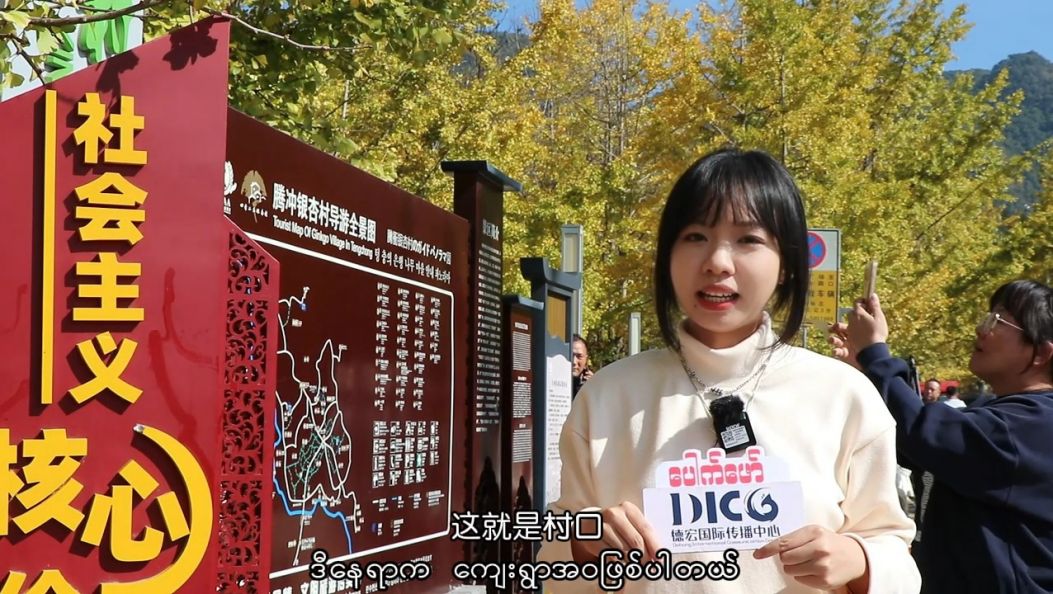 《胞波带您逛中国》第四十四集｜一年只美30天的童话小镇——腾冲银杏村