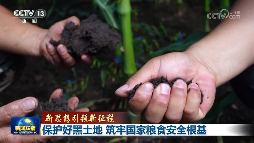 【新思想引领新征程】保护好黑土地 筑牢国家粮食安全根基