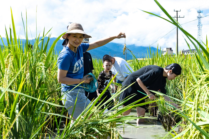云南梁河：“烟稻渔”铺就边疆生态富民路