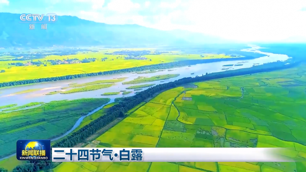 德宏再登央视《新闻联播》！稻田鎏金 飞鸟翩跹