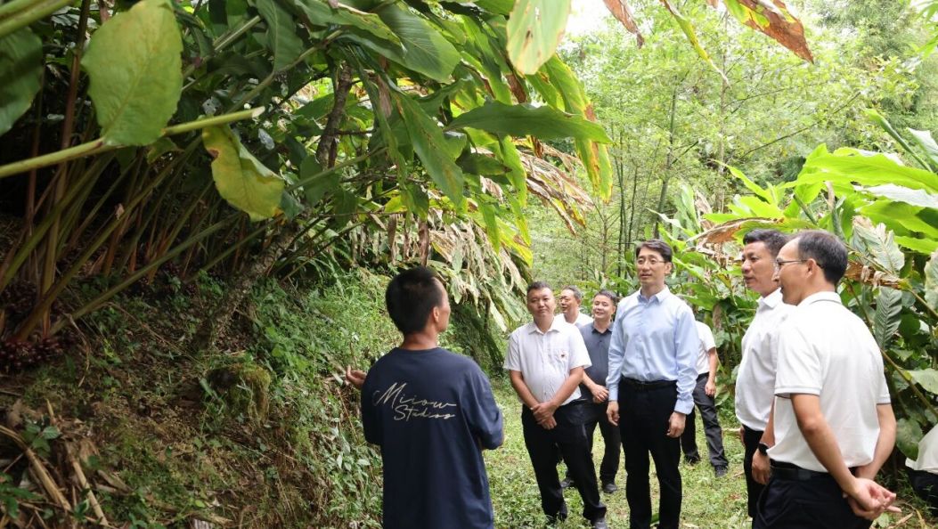 王云霏在盈江县调研时强调：党建引领提升基层治理效能 团结群众建设好美丽家园