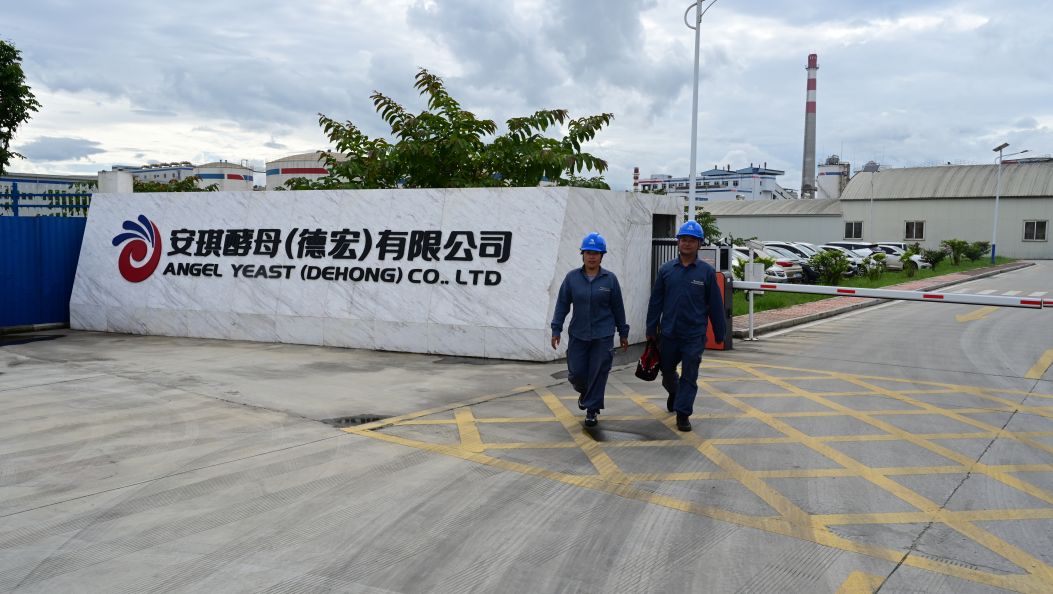 实干德宏 | 陇川供电局绿电赋能  德宏安琪酵母零碳转型添动能