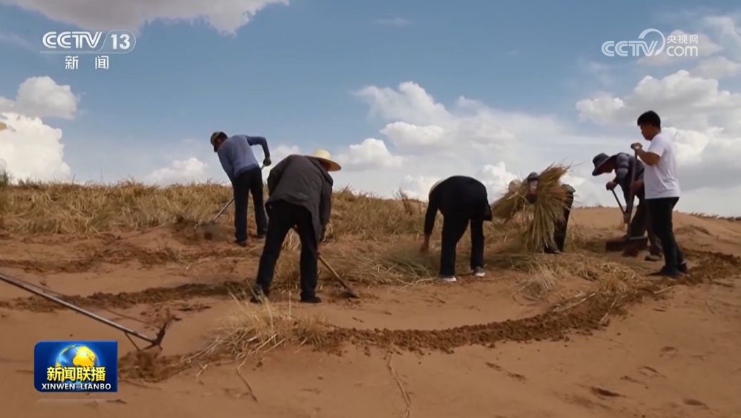把强国建设 民族复兴伟业不断推向前进——习近平总书记在纪念中国人民抗日战争暨世界反法西斯战争胜利80周年大会上的重要讲话引发热烈反响