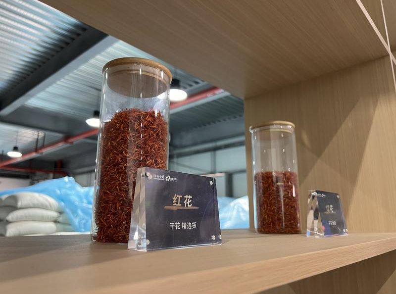 网络安全彩云行｜为“数字链”加上“安全锁”！“数智云药”助巍山红花亩均增收20%