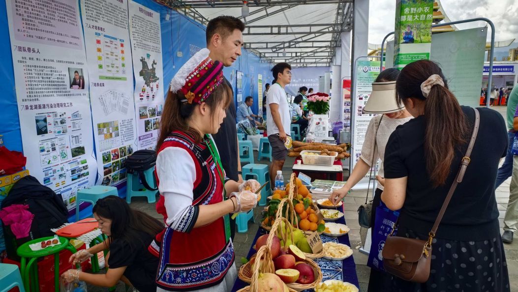 硕果累累颂盛世 稻穗金香话丰年