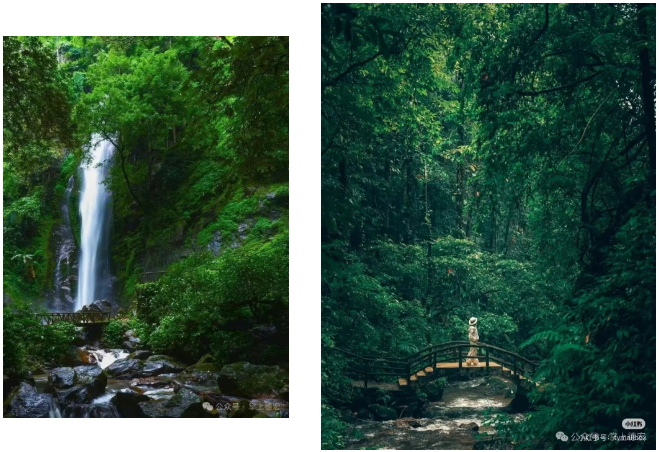 微信图片_20250930161750_17_23.png