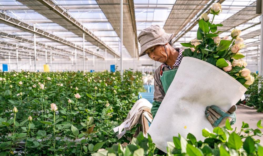 时政微观察丨非凡“十四五”，民生答卷有厚度更有温度