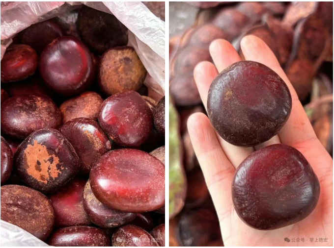 1762334295580714.png 微信图片_20251105171530_1_23.png