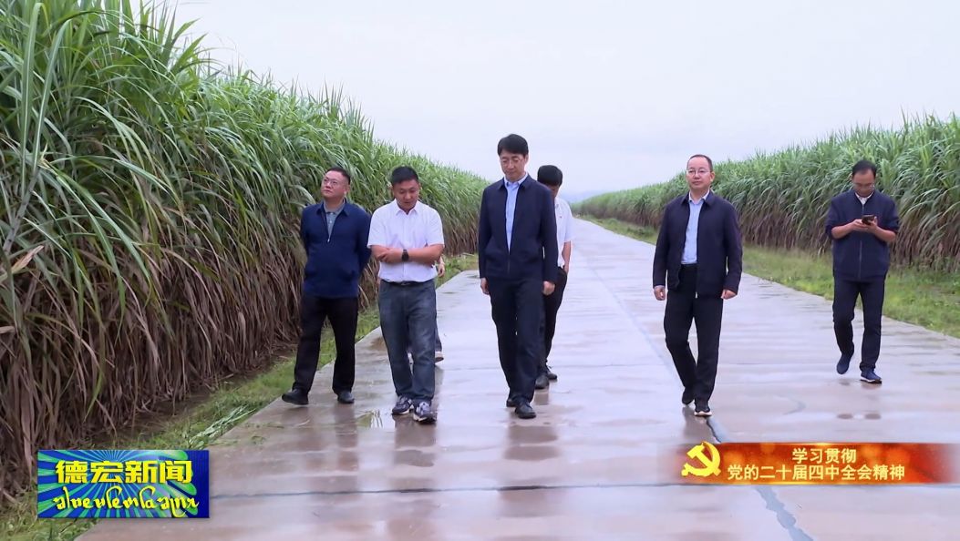 王云霏在陇川宣讲党的二十届四中全会精神时强调