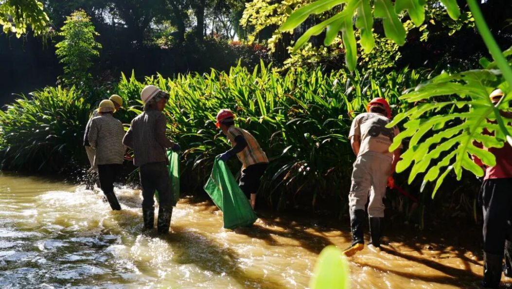 综合整治城区6条河道！芒市打响水清岸绿“保卫战”