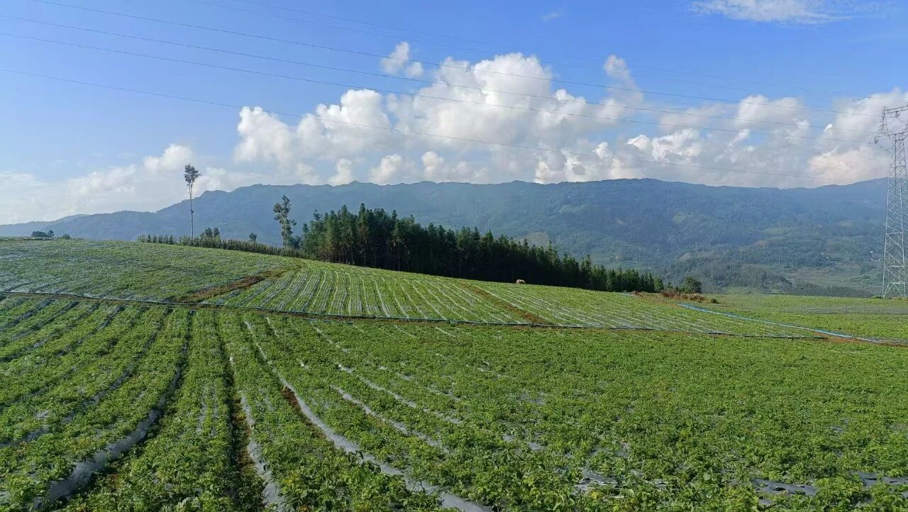 1763967581330872.jpg 5678.jpg