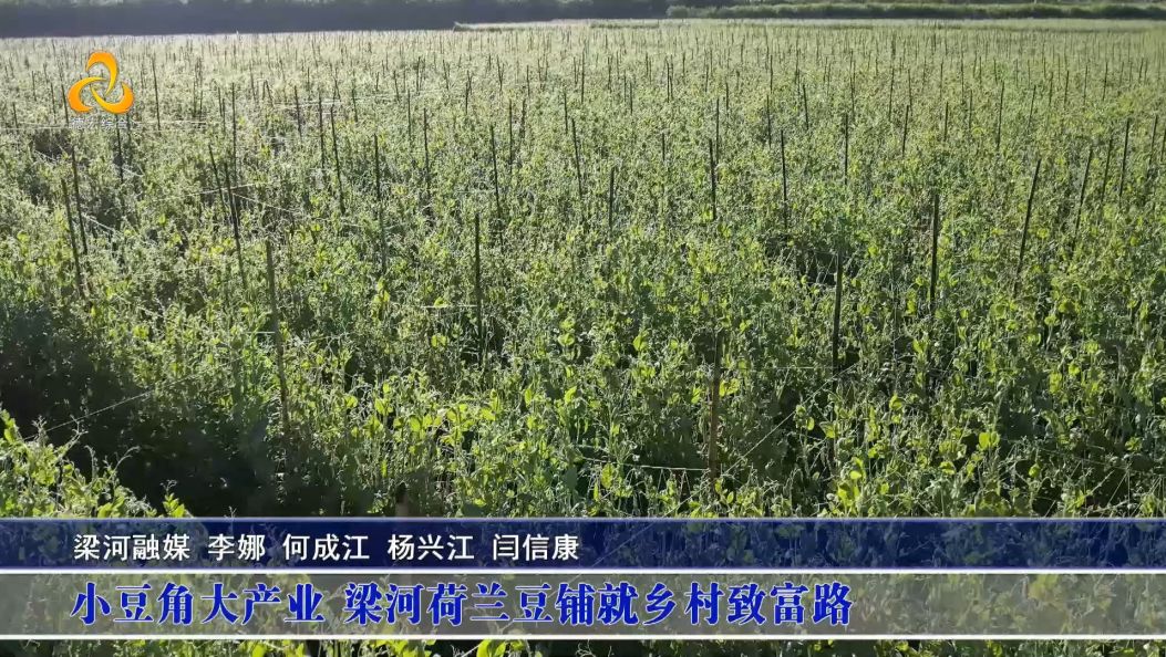 景-德宏新闻25年12月16