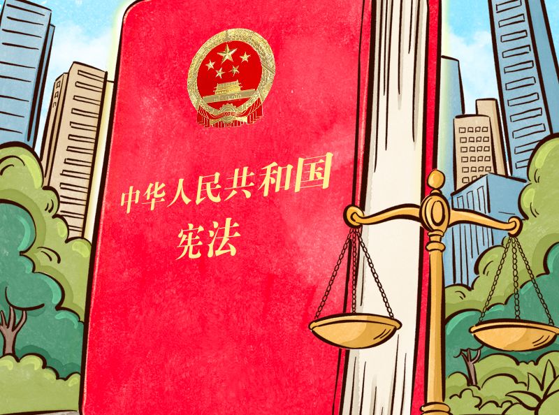 良法善治｜宪法的生命在于实施