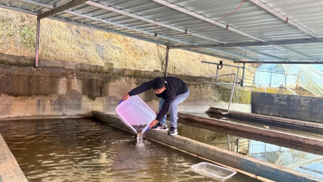 这个“渔夫”，把土著鱼给研究明白了