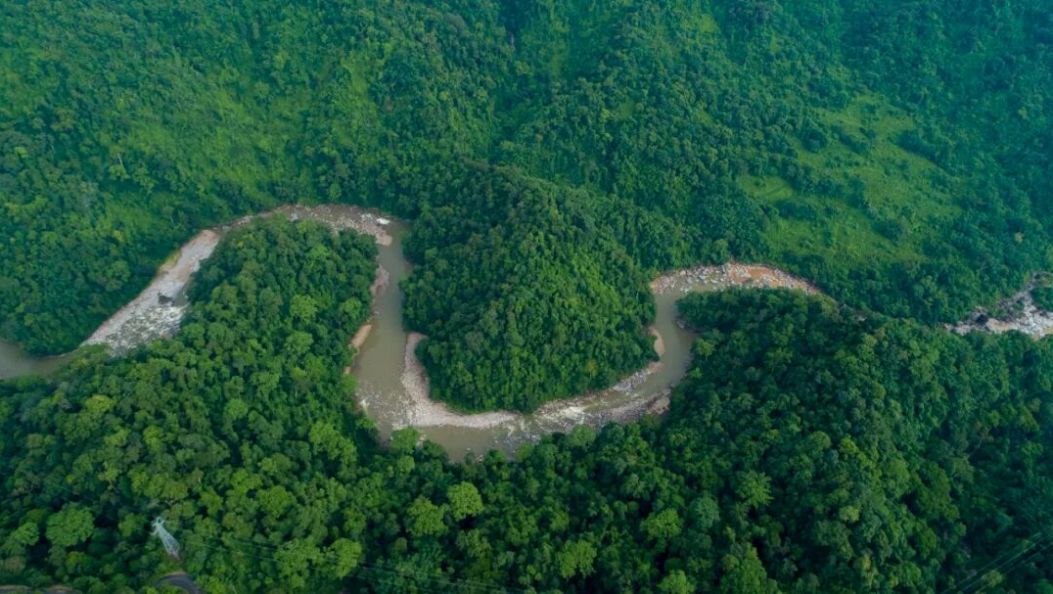 决胜“十四五”迈上新台阶 | 雨林为笺 德宏绘就边疆绿美新图景