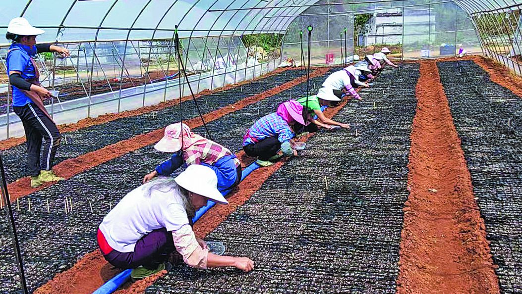 务工车间+以工代赈　搬迁群众“家门口”稳岗增收（傈僳文）