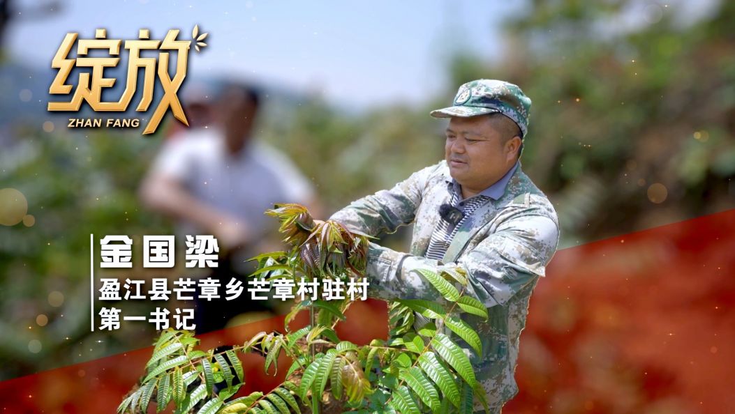 金国梁：德宏山寨里的“铁脚书记”把荒山变成“椿”银行 Yvumsing e wunwaq mu wo zui ge dik su ——Zhvinyu Gamzv