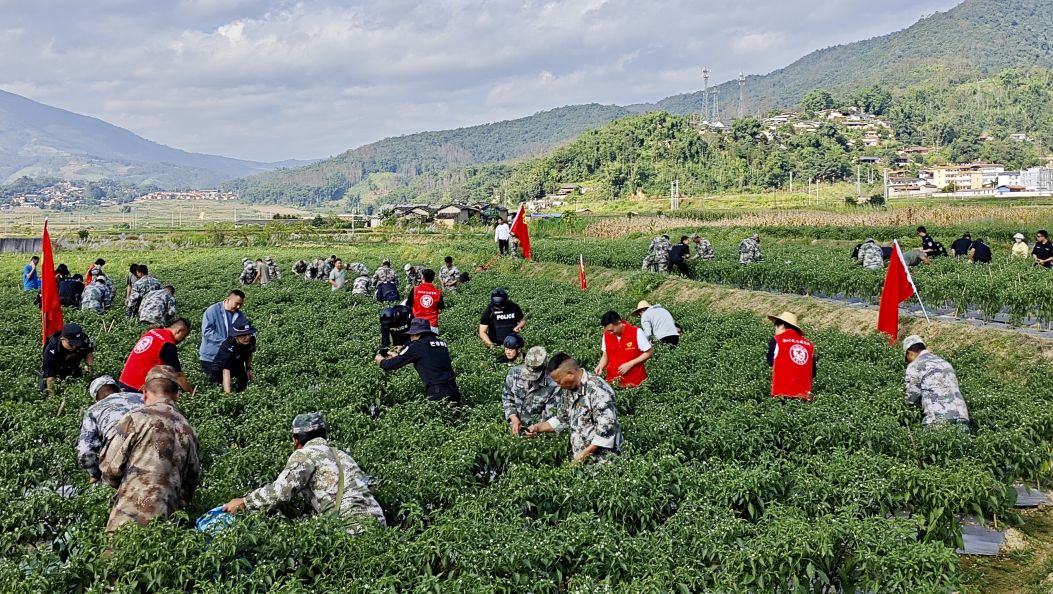 德宏州民族团结进步先进典型风采展（一）芒海镇以多元举措绘就民族团结进步新图景