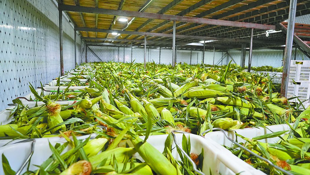 li-su 冷链物流铺就鲜货北上路