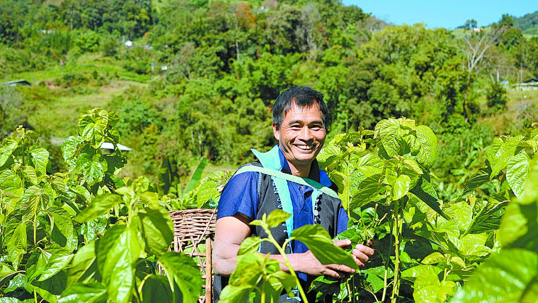 “托管奖补带”促增收 陇川蚕桑“钱”景丰（傈僳文）