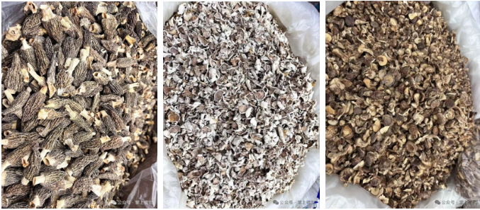 1768377676560777.png 16.png