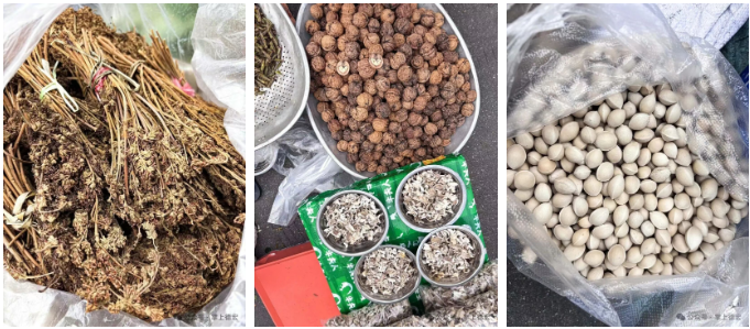 1768377722448887.png 17.png