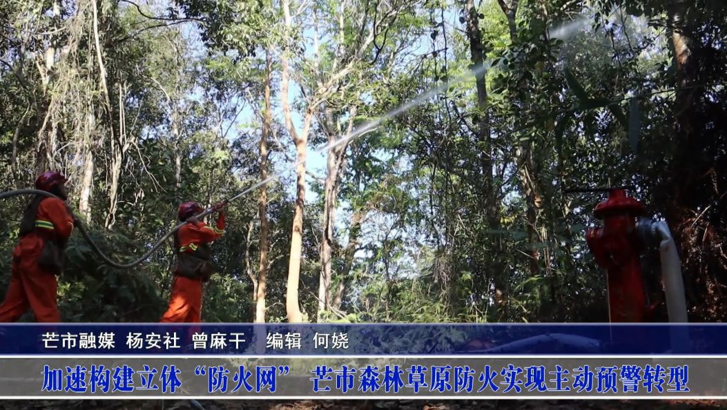 加速构建立体“防火网” 芒市森林草原防火实现主动预警转型
