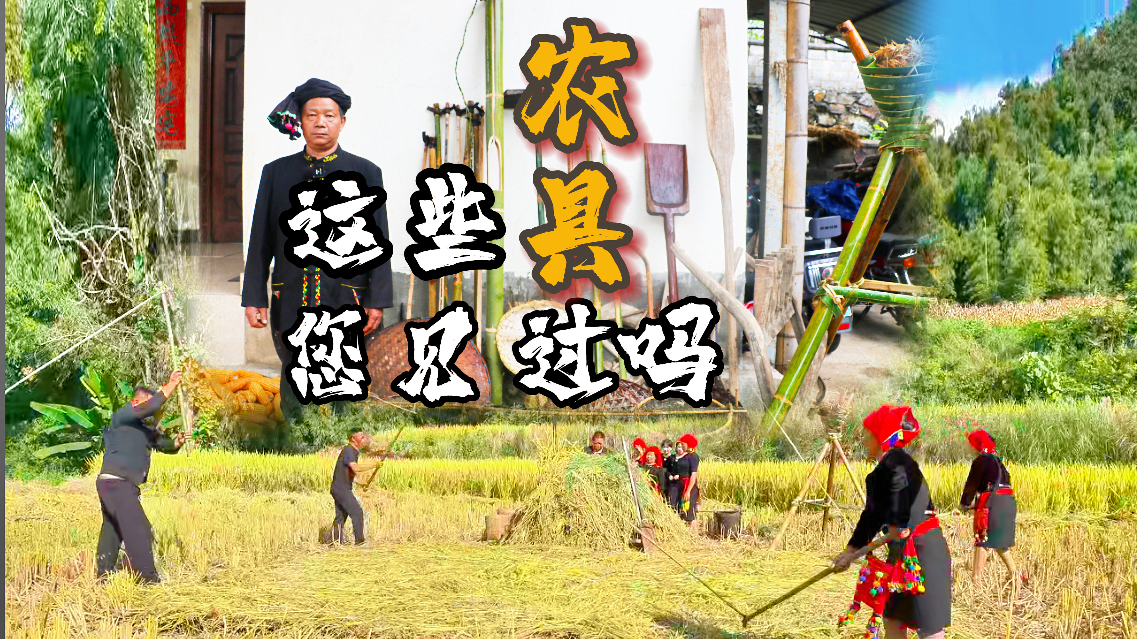 这些农具您见过吗
