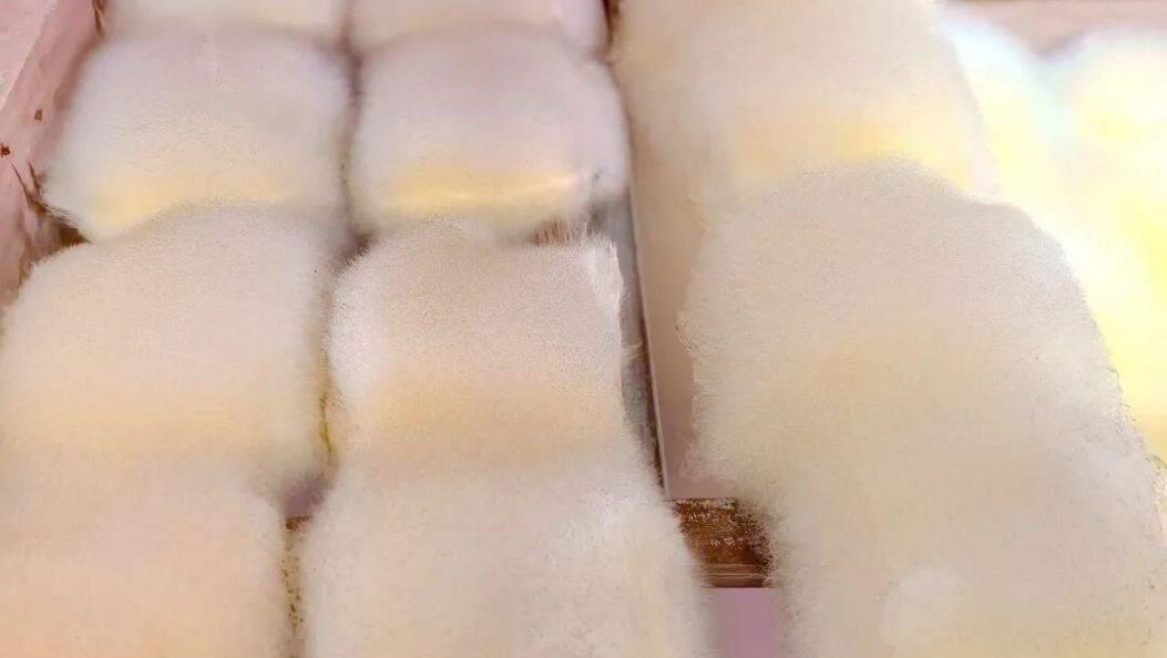 晨雾漫山处 豆香振兴路！大寨毛豆腐三代传承酿出乡村好滋味