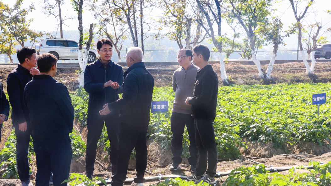 王云霏在盈江县调研时强调：更好统筹发展和安全  奋力实现“十五五”良好开局