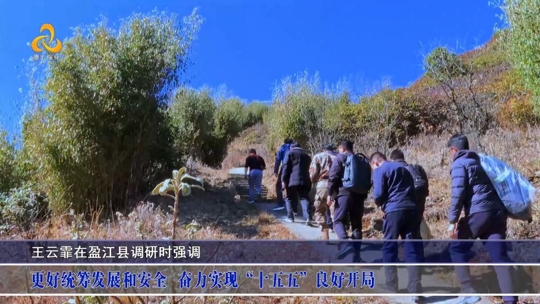 王云霏在盈江县调研时强调 更好统筹发展和安全 奋力实现“十五五”良好开局