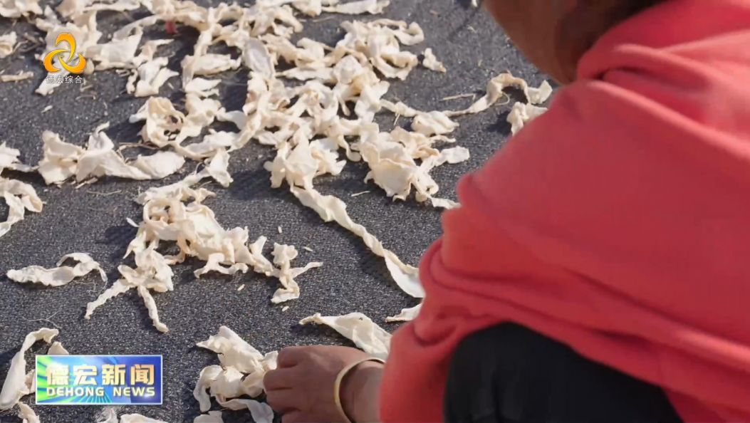 景-德宏新闻26年1月30日