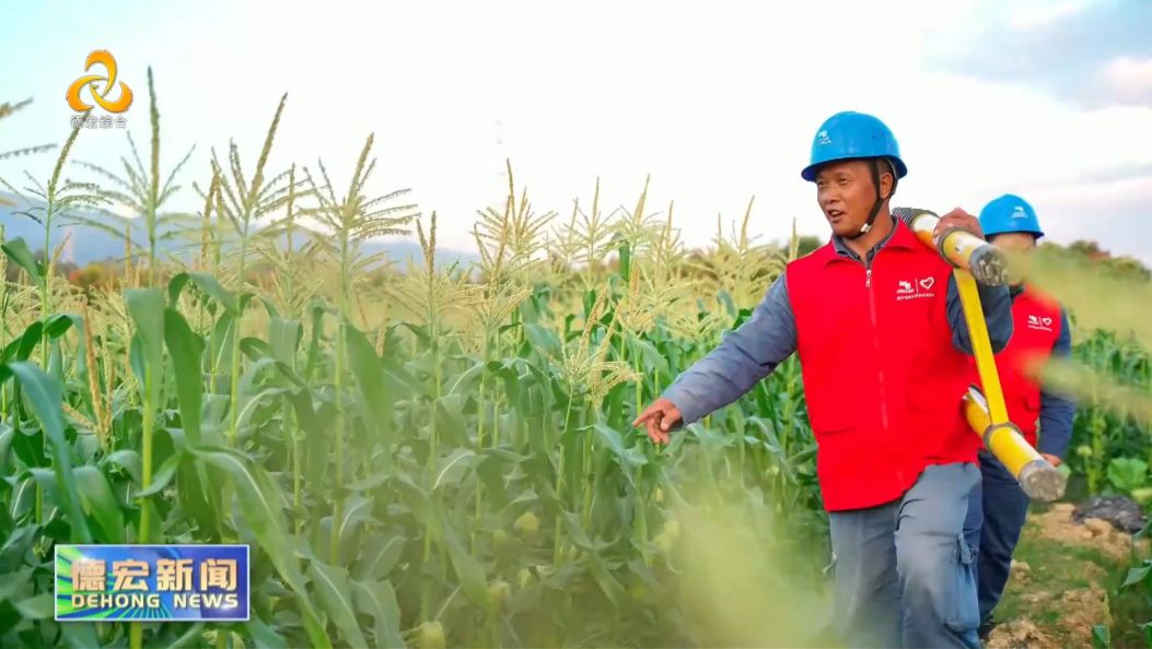 景-德宏新闻26年1月26日