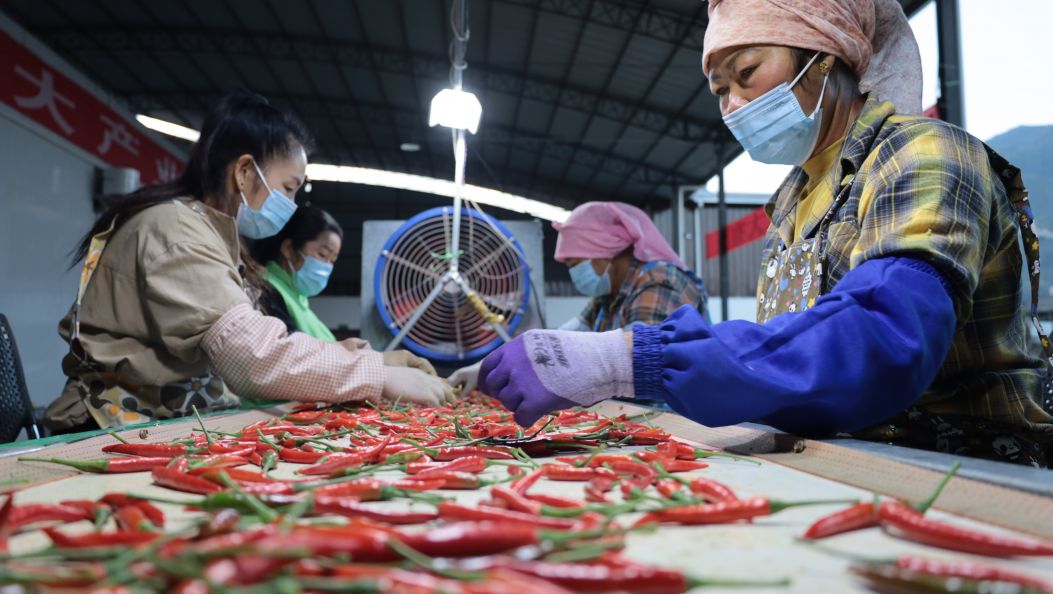 边关“椒”响曲”（傈僳文）