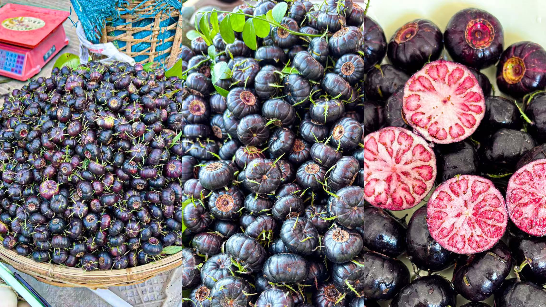 尝一尝，这是新宠还是“刺客”？