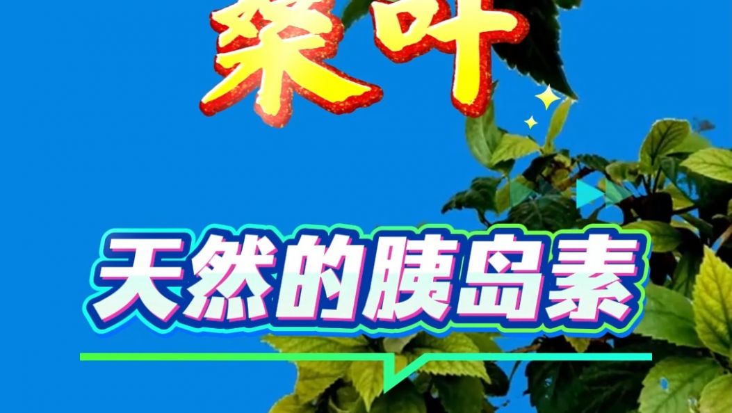 辅助降血糖，它是天然胰岛素！