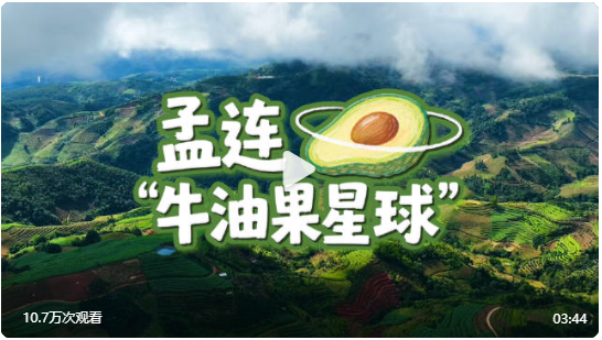 “90后”小伙大萌，曾游历30多个国家。4年前，他回到家乡云南孟连，种起了牛油果。在他的农场，原产墨西哥的牛油果和咖啡、夏威夷果等成了“好朋友”。当地还推行庭院农场模式，农户以土地入股，企业出技术，散落在村寨里的小地块，连成了独树一帜的“牛友果星球”。如今，新鲜嫩绿的牛油果，72小时内即可端上全国“吃货”的餐桌！看↓↓你爱吃牛油果吗？