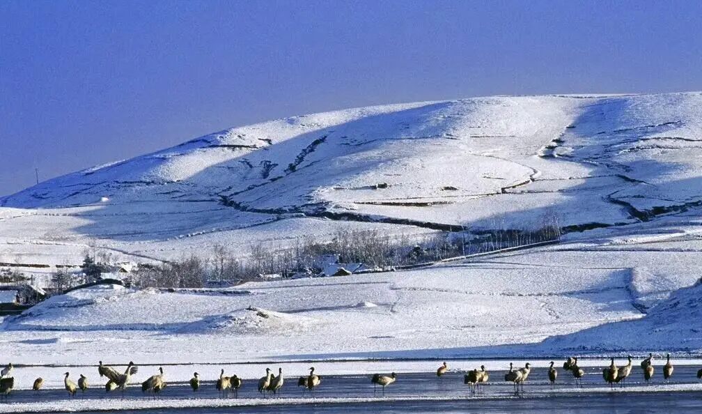 左手咖啡右手茶，一串一馍通古今——普洱直飞昭通、西安新航线启航