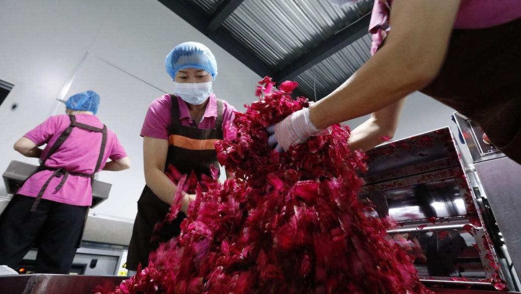 丘北八道哨：党建领航聚合力 攻坚赋能促发展